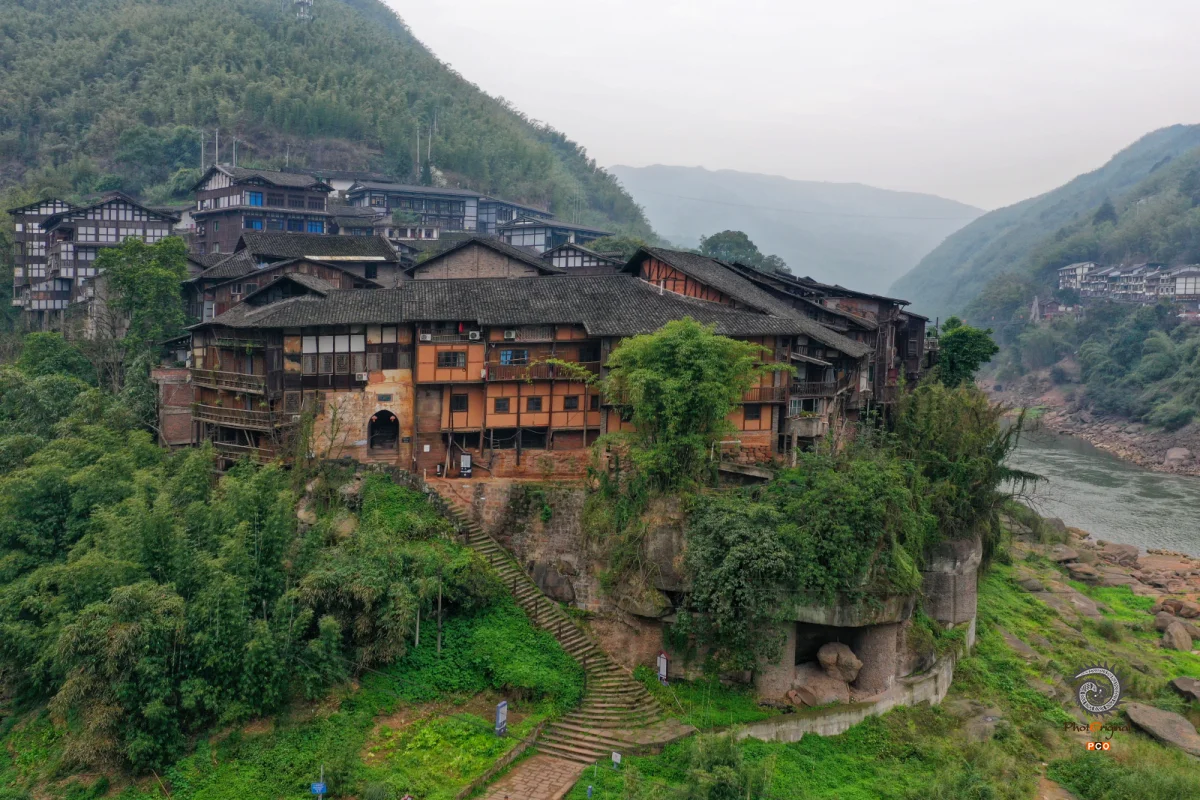 2025多彩贵州·第十八届中国原生态国际摄影大展 · 巴西铁 的图集