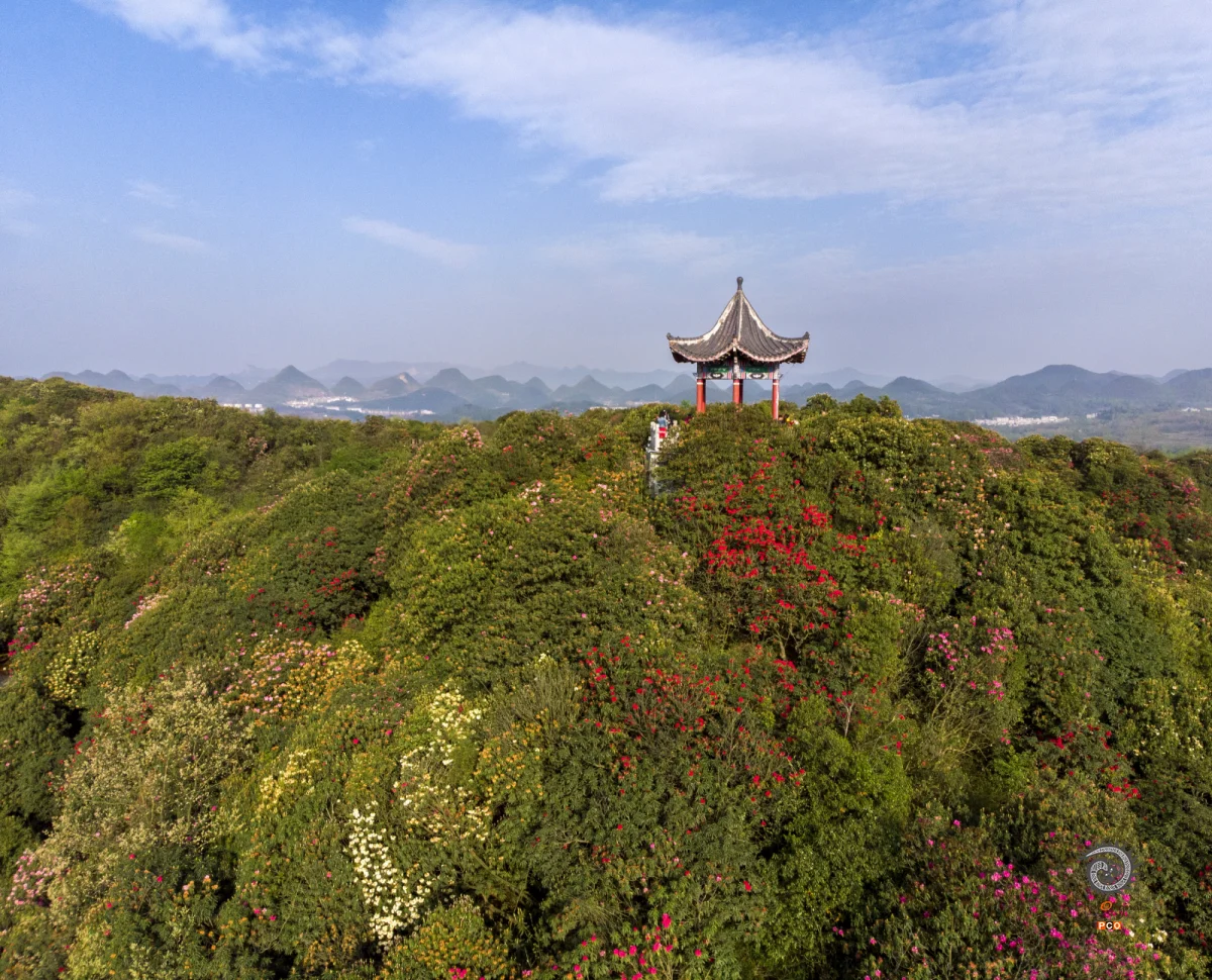 2025多彩贵州·第十八届中国原生态国际摄影大展 · 不鸣 的图集
