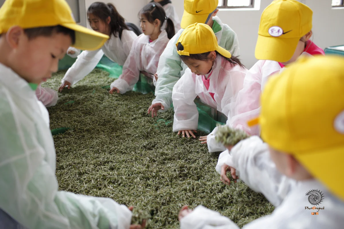 多彩贵州·第十四届中国原生态国际摄影大展 · 7戒 的图集