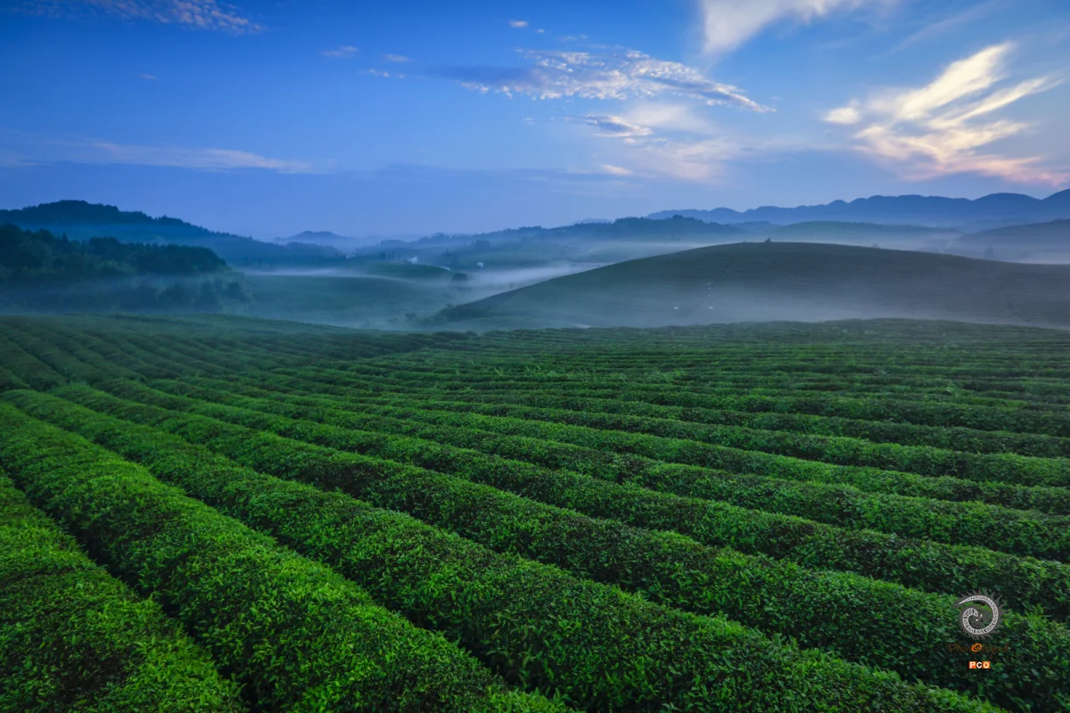 多彩贵州·第十四届中国原生态国际摄影大展 · 信念 的图集