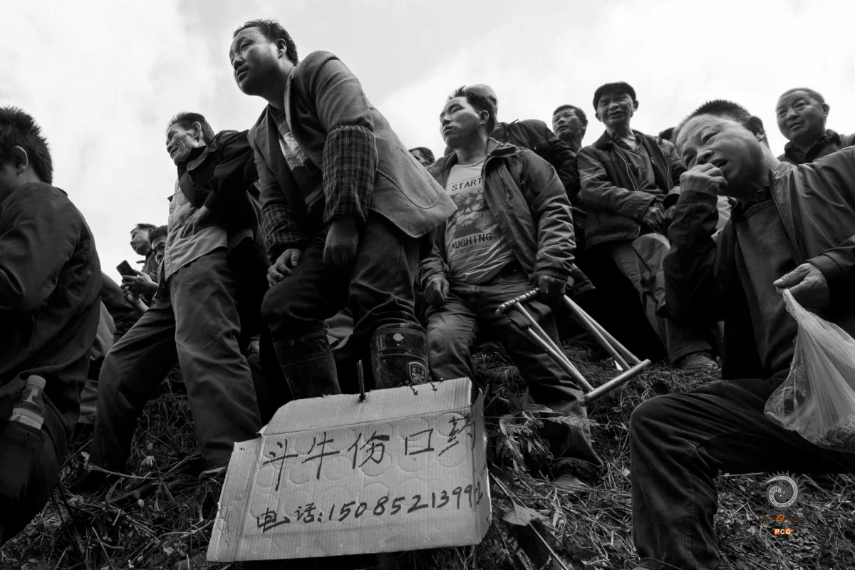 多彩贵州·第十四届中国原生态国际摄影大展 · 林武旺 的图集