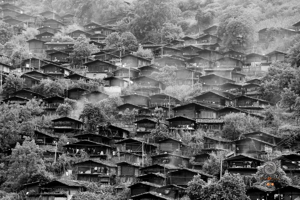 诗意的栖息地