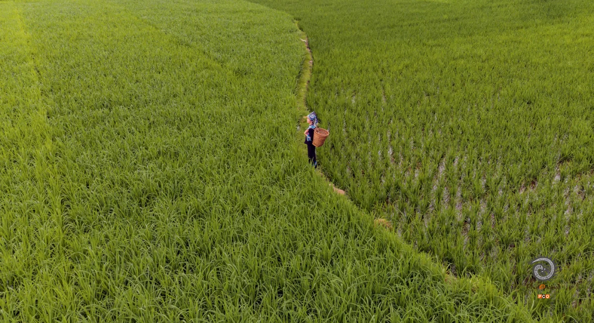 多彩贵州·第十四届中国原生态国际摄影大展 · 木北 的图集
