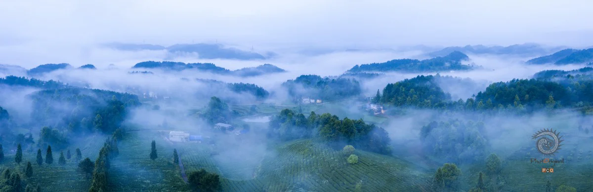 多彩贵州·第十四届中国原生态国际摄影大展 · 山林 的图集