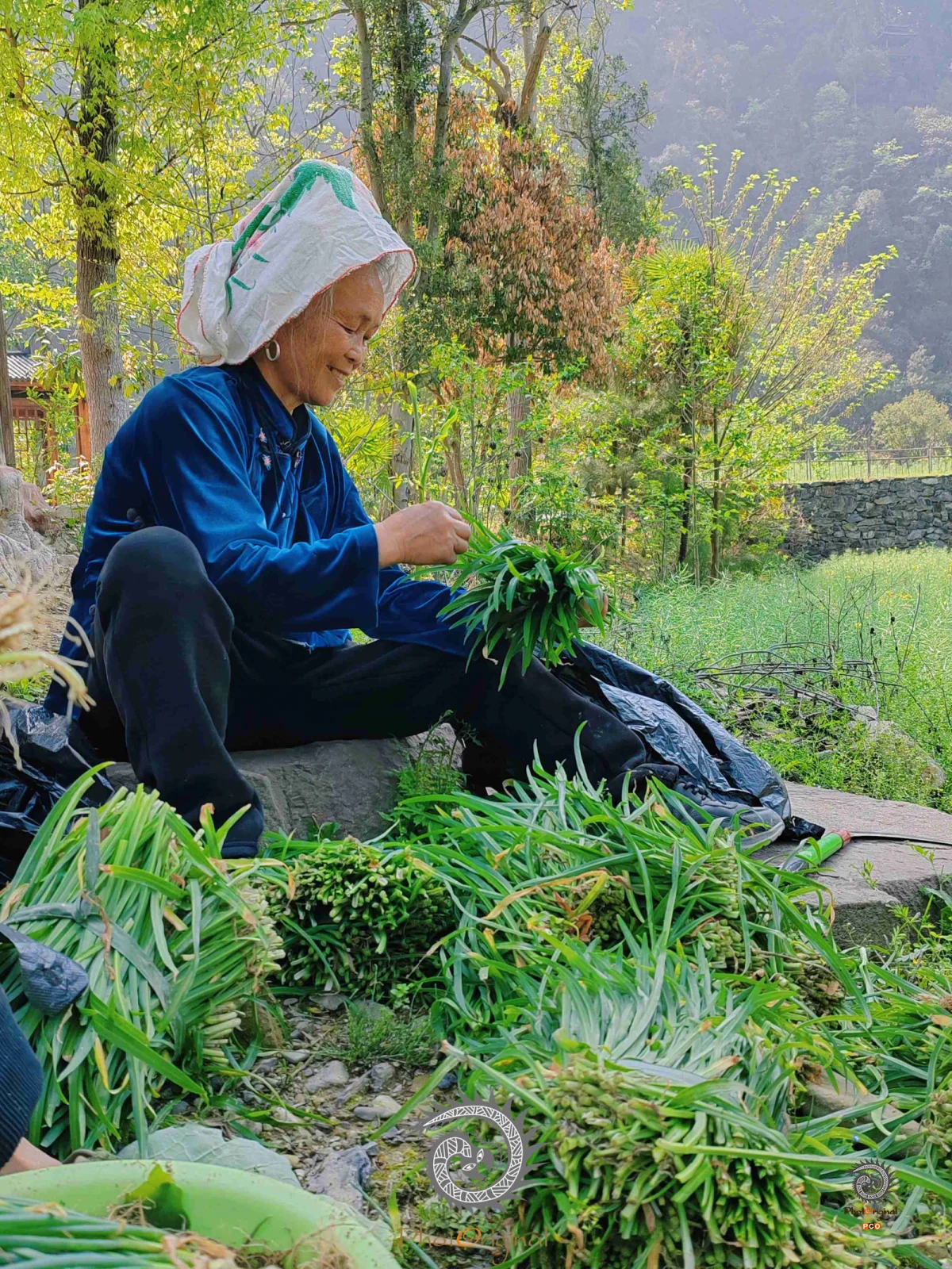 2024多彩贵州·第十七届中国原生态国际摄影大展展览 · 摄影大展官方客服 的图集