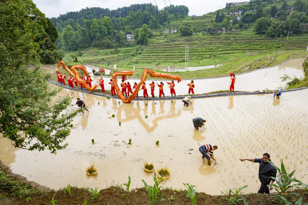 多彩贵州·第十四届中国原生态国际摄影大展 · 朱进 的图集