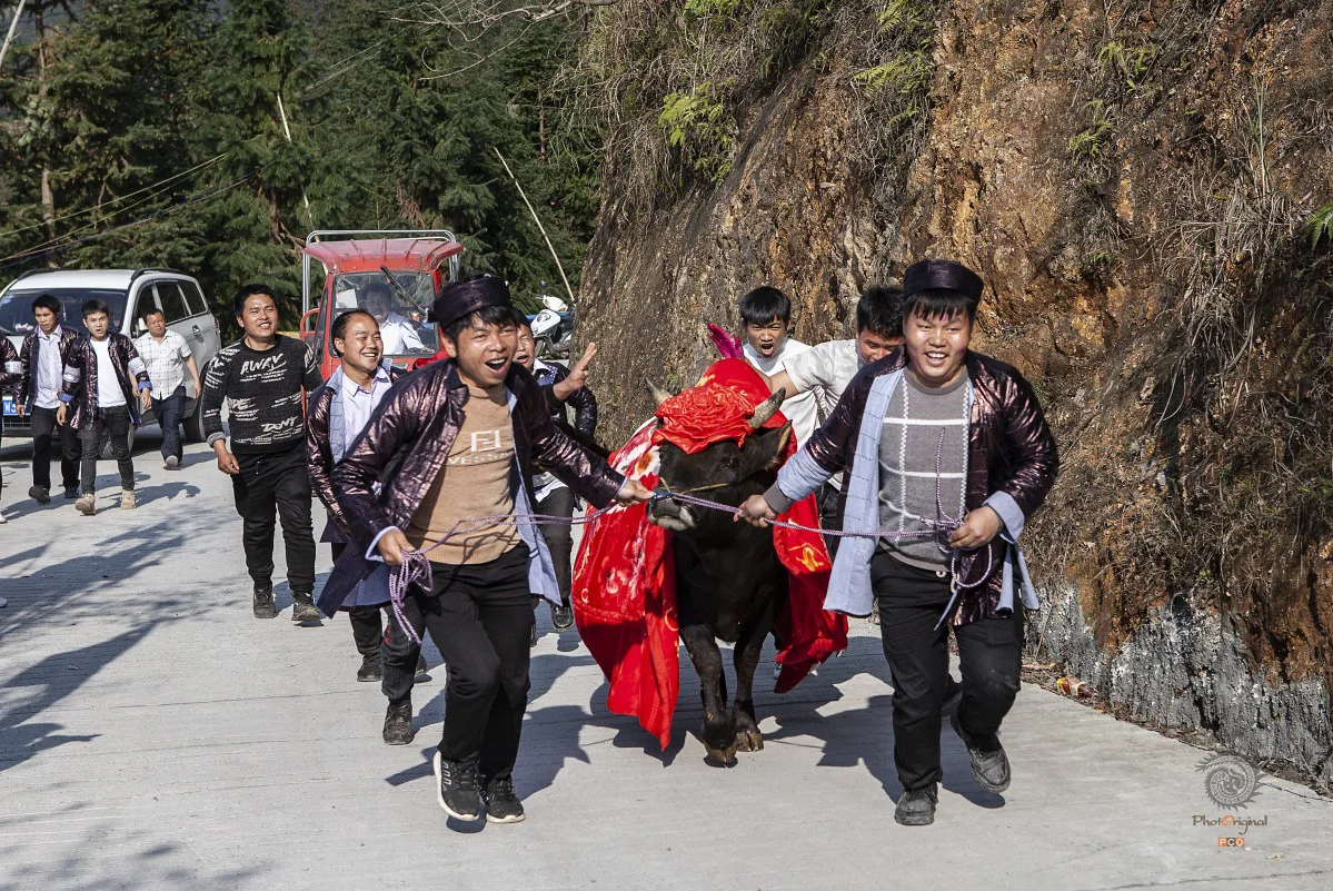 多彩贵州·第十四届中国原生态国际摄影大展 · 方闻 的图集