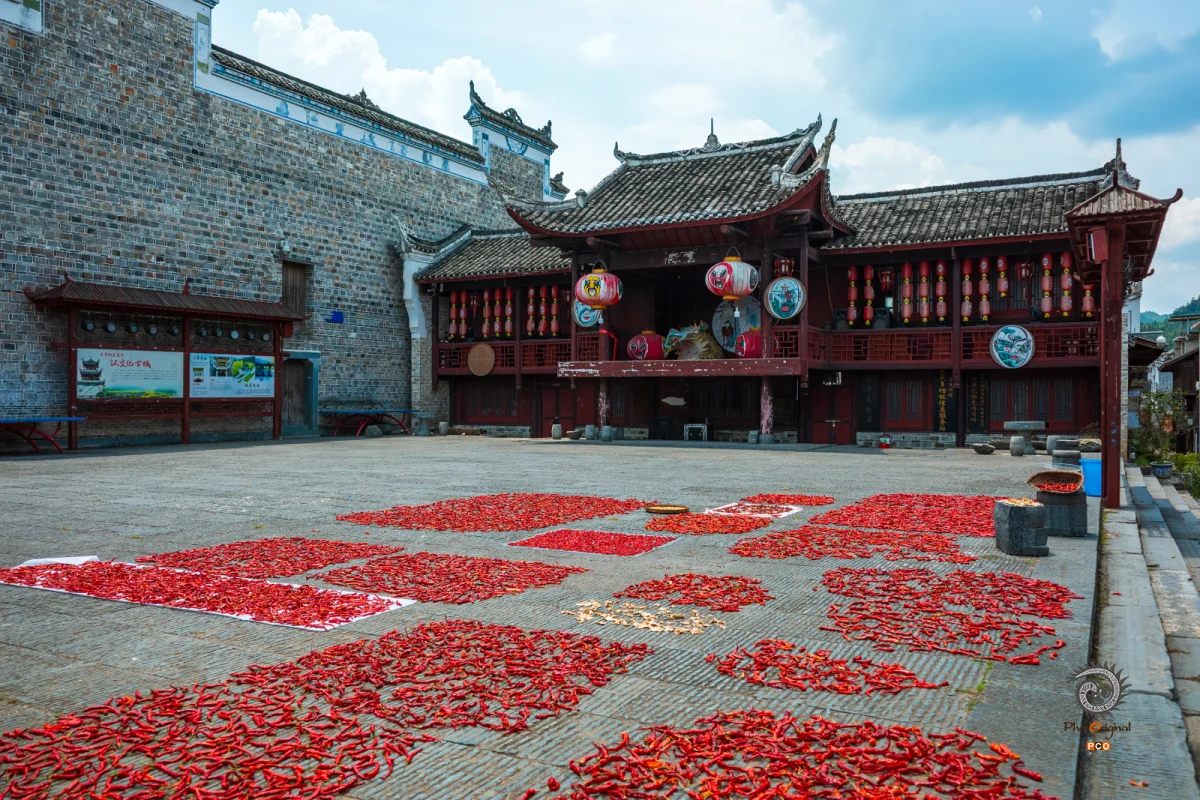 2025多彩贵州·第十八届中国原生态国际摄影大展 · ligba 的图集