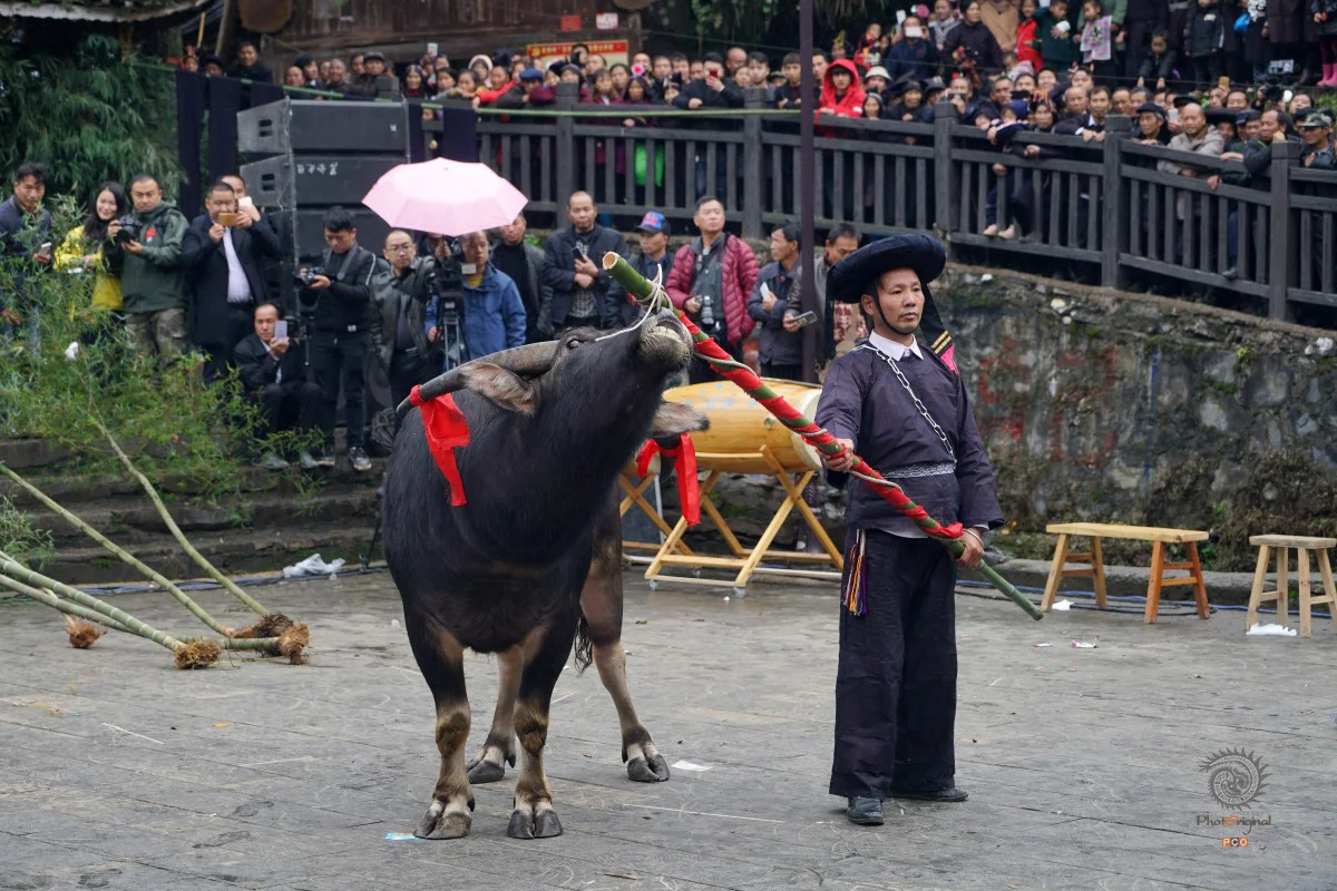 多彩贵州·第十四届中国原生态国际摄影大展 · 郑波 的图集