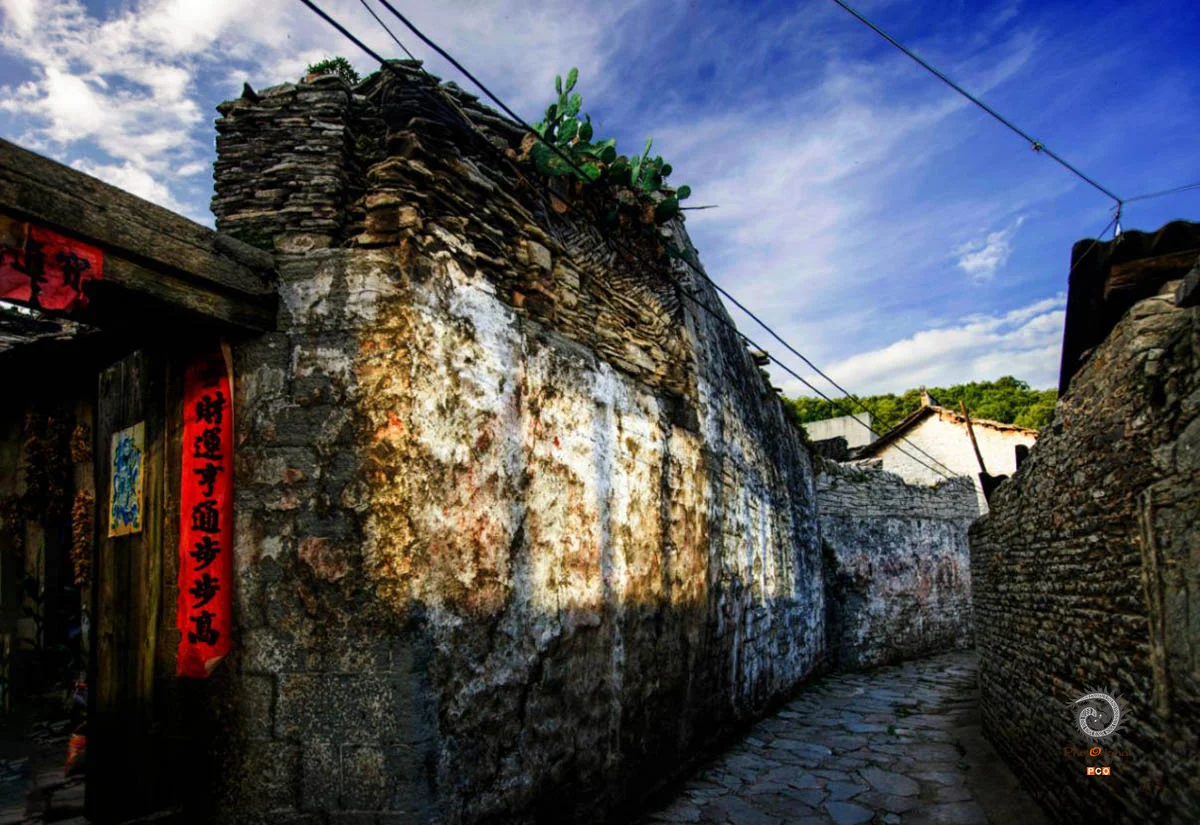 2025多彩贵州·第十八届中国原生态国际摄影大展展览 · 摄影大展官方客服 的图集