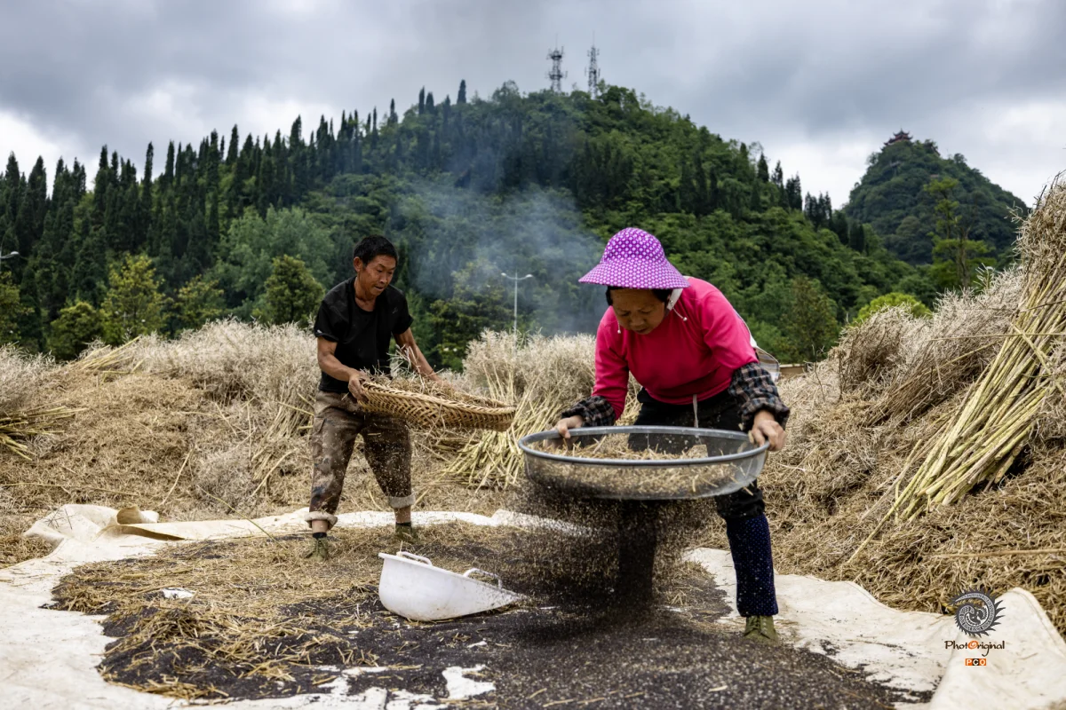 2025多彩贵州·第十八届中国原生态国际摄影大展 · 胖子 的图集