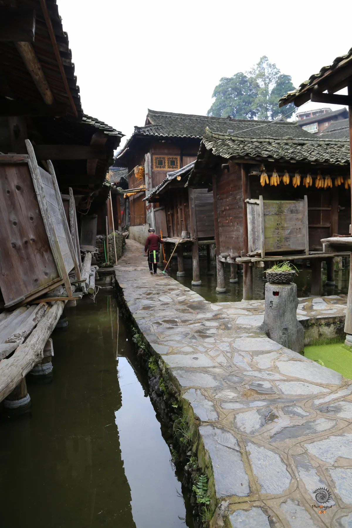 多彩贵州·第十四届中国原生态国际摄影大展 · 玉哥 的图集