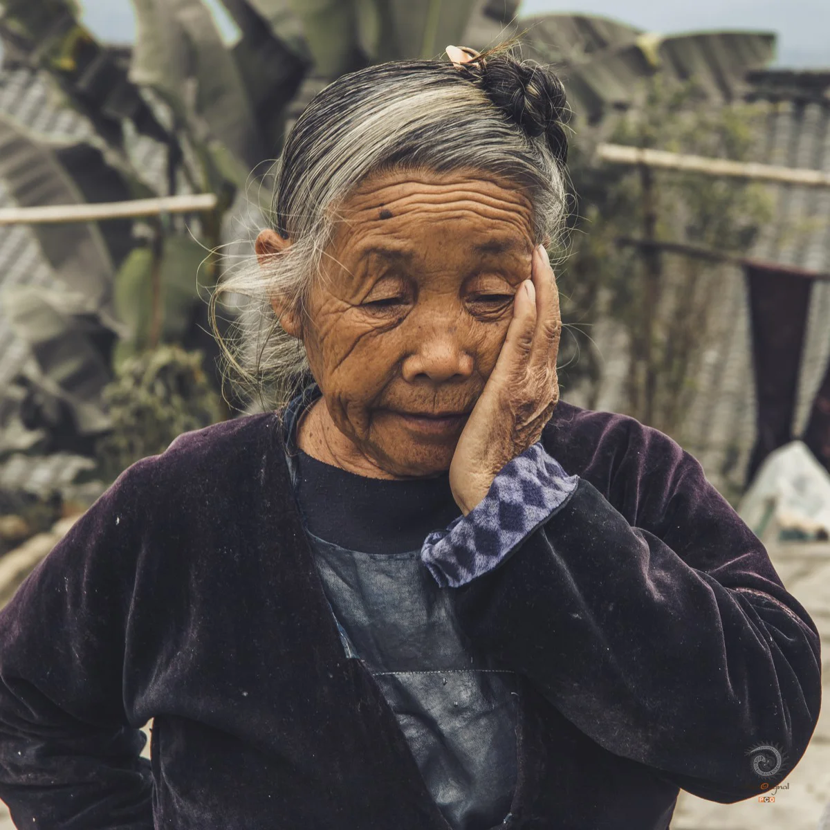 多彩贵州·第十四届中国原生态国际摄影大展 · 云之彼端 的图集