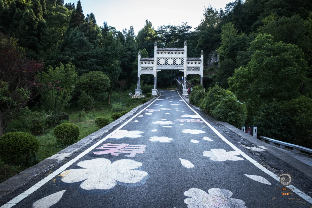 2025多彩贵州·第十八届中国原生态国际摄影大展 · Jenny 的图集