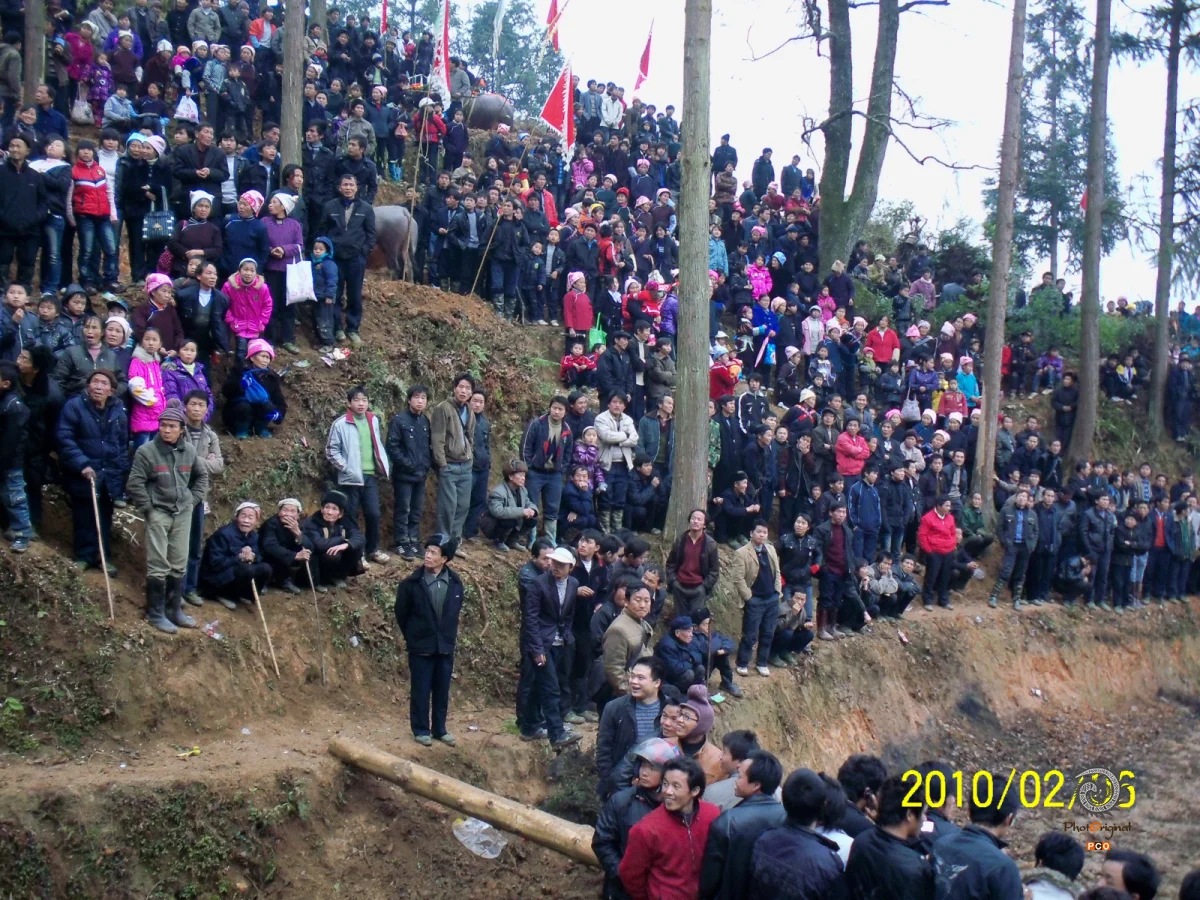 2025多彩贵州·第十八届中国原生态国际摄影大展 · 乐天 的图集