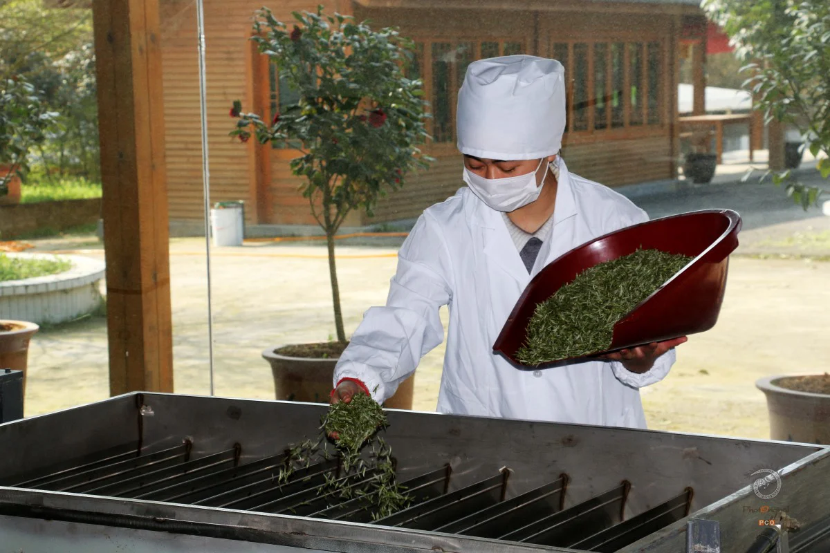 多彩贵州·第十四届中国原生态国际摄影大展 · 行摄天下 的图集