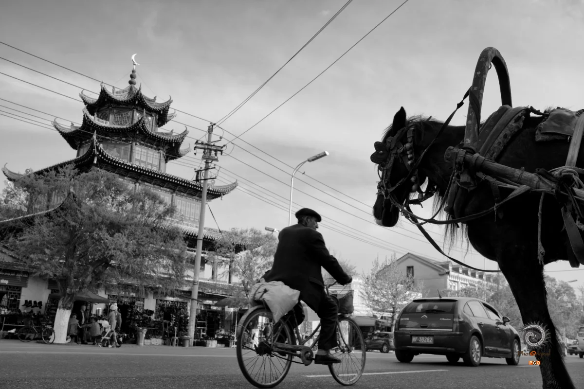 《天山脚下的马背民族 》