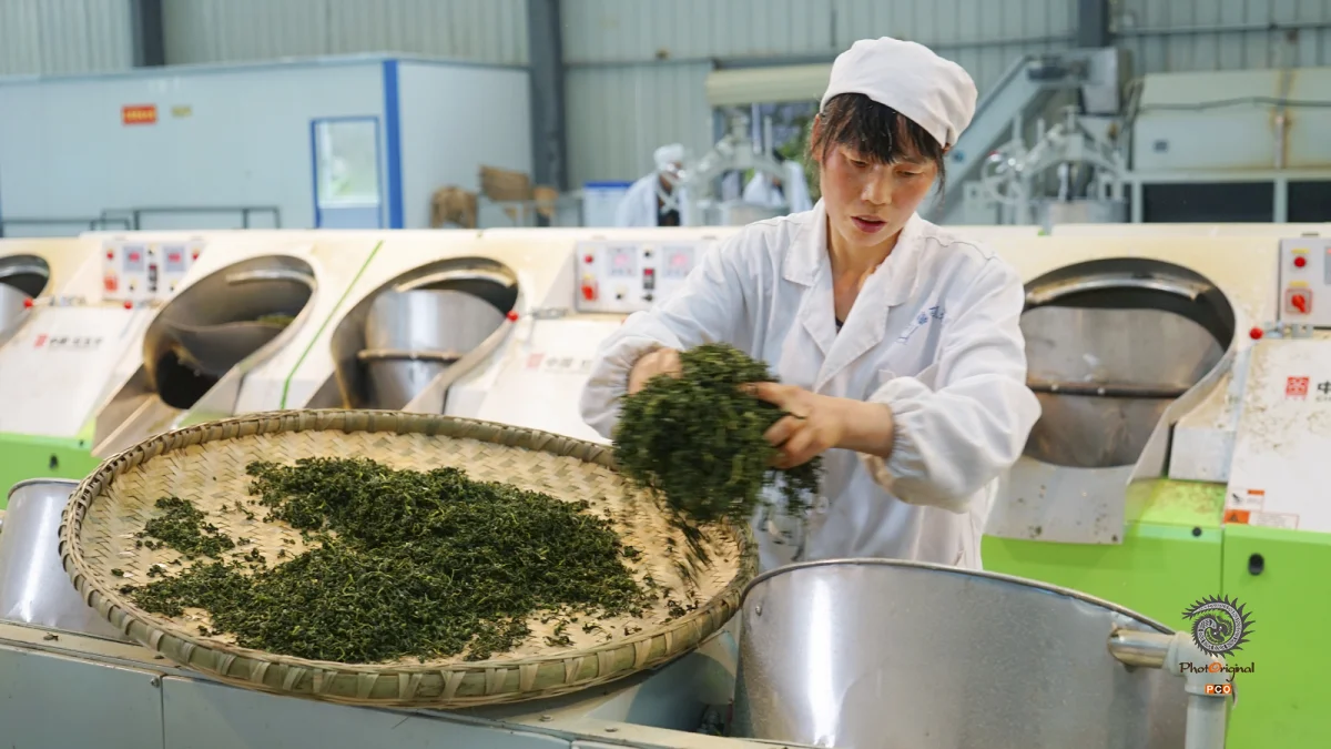 多彩贵州·第十四届中国原生态国际摄影大展 · 乌江摄影 的图集