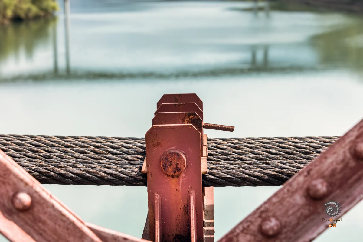 2023多彩贵州·第十六届中国原生态国际摄影大展 · 无极 的图集