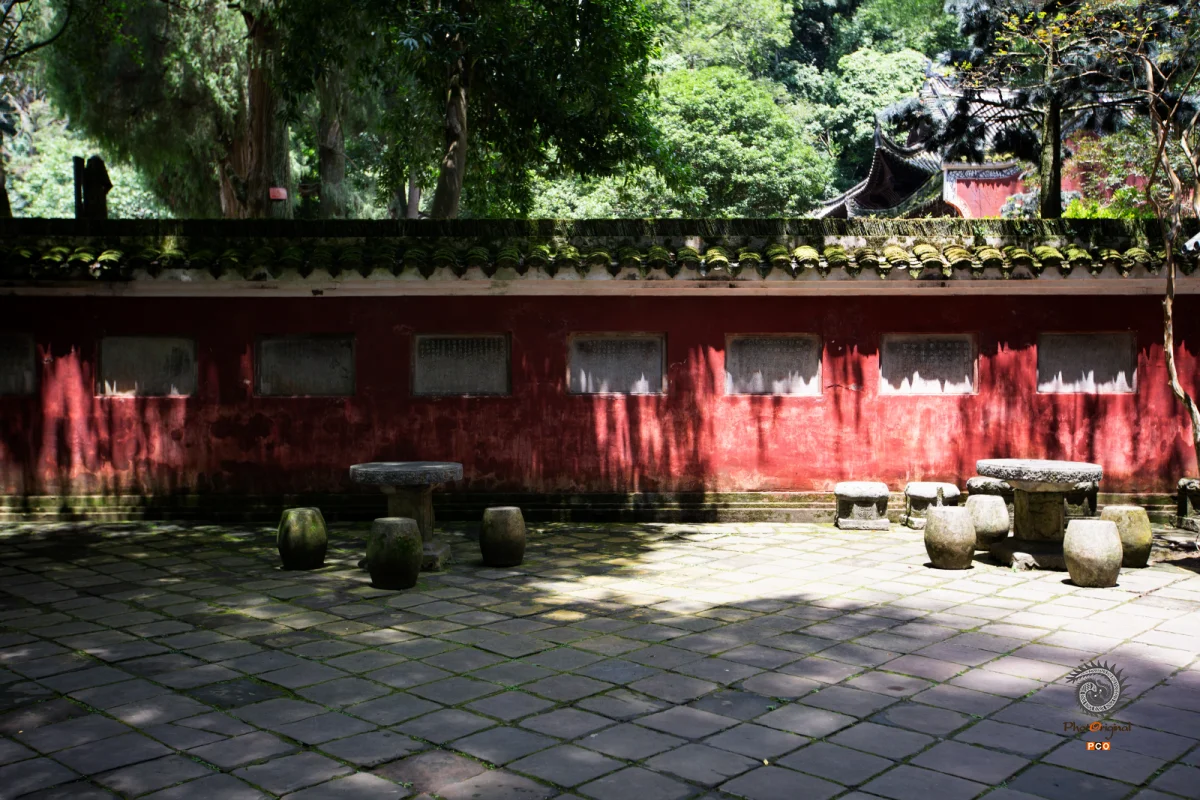 2025多彩贵州·第十八届中国原生态国际摄影大展 · 朱进 的图集