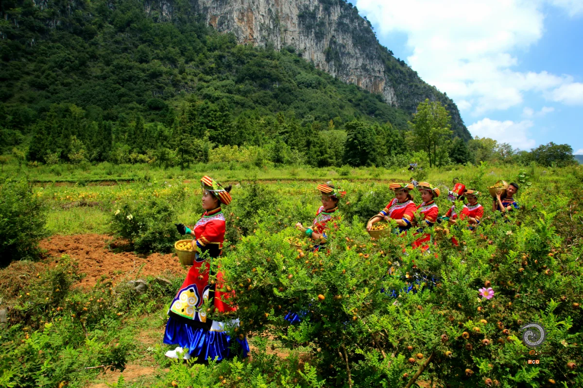 多彩贵州·第十四届中国原生态国际摄影大展 · 陈绍荣 的图集