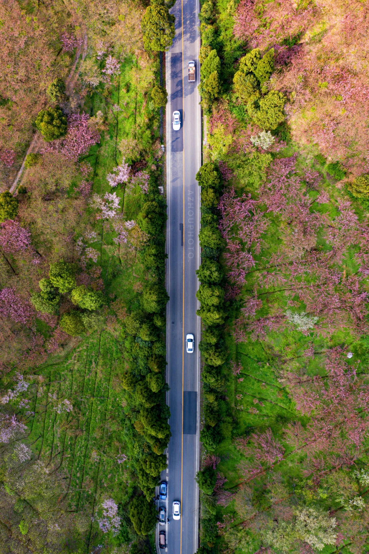贵阳市·清镇市 贵黄公路春天朝霞