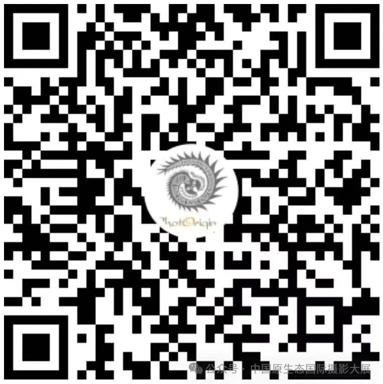 036fbe4bd9bead88eeb29aca1ec8fa8b.jpg
